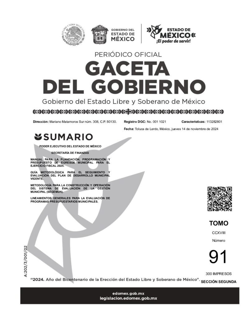 thumbnail of MANUAL PLANEACION 2025